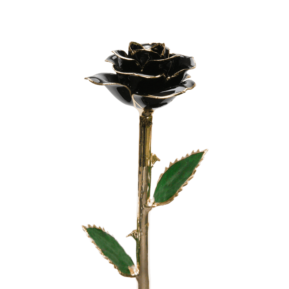 Rose en or par The Luxury Box | The Luxury Box