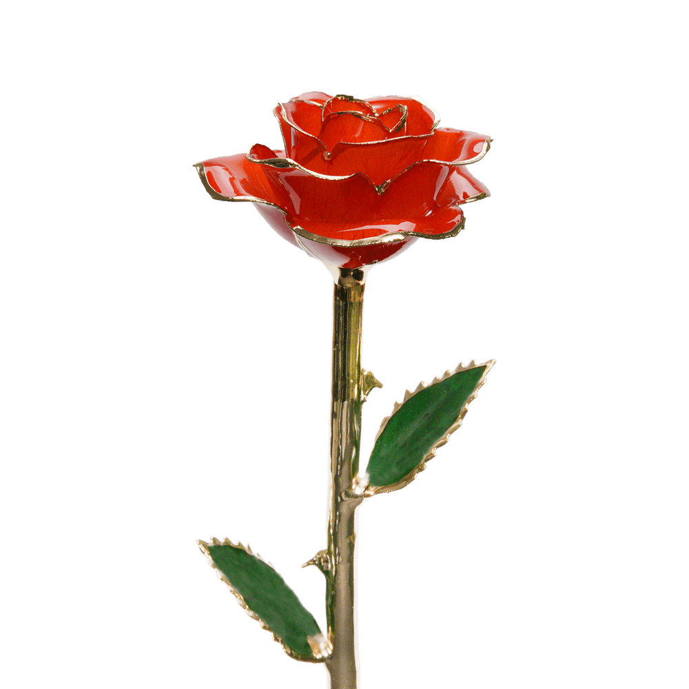 Rose en or par The Luxury Box | The Luxury Box
