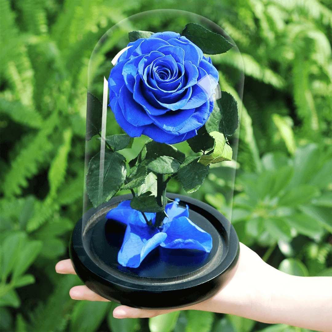 Roses-sous-cloches Roses sous cloches | The Luxury Box