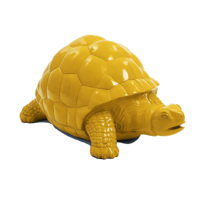 Tortue en résine (11) Tortue en resine 11 | The Luxury Box