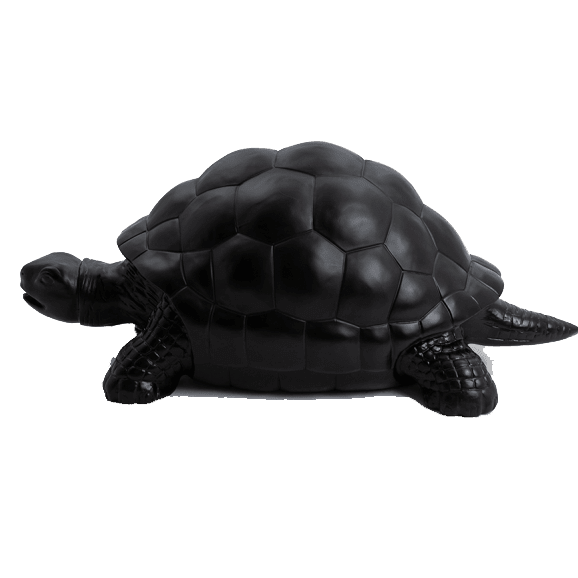 Tortue en résine (14) Tortue en resine 14 | The Luxury Box
