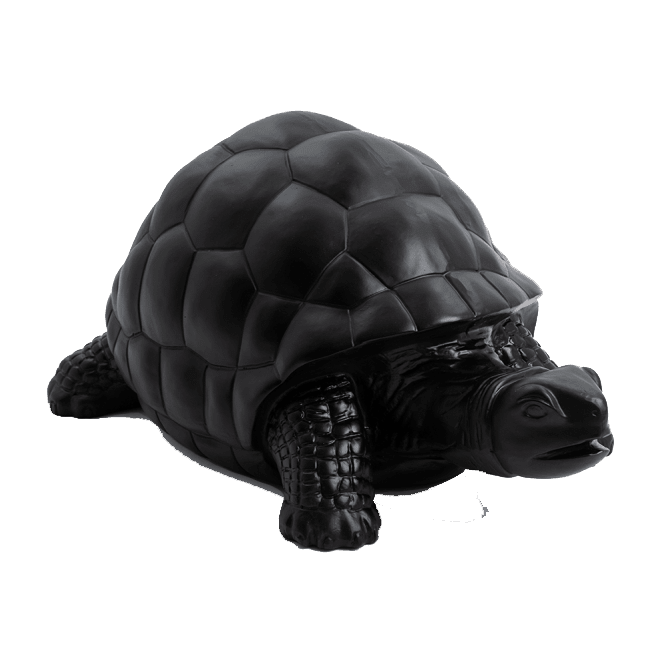 Tortue en résine (15) Tortue en resine 15 | The Luxury Box