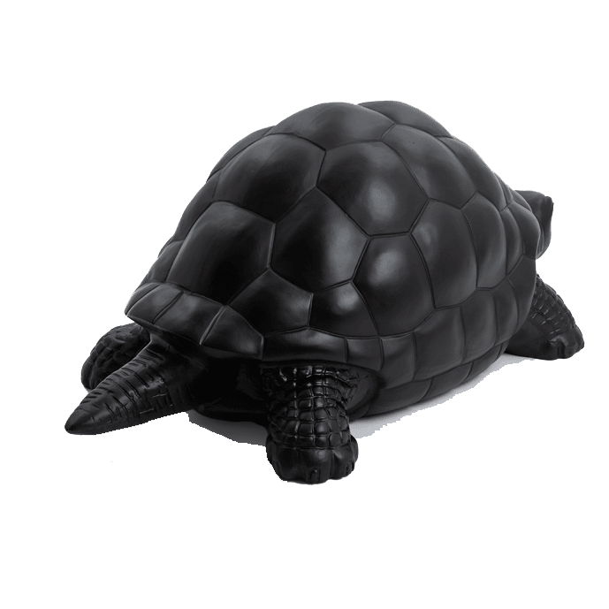 Tortue en résine (16) Tortue en resine 16 | The Luxury Box