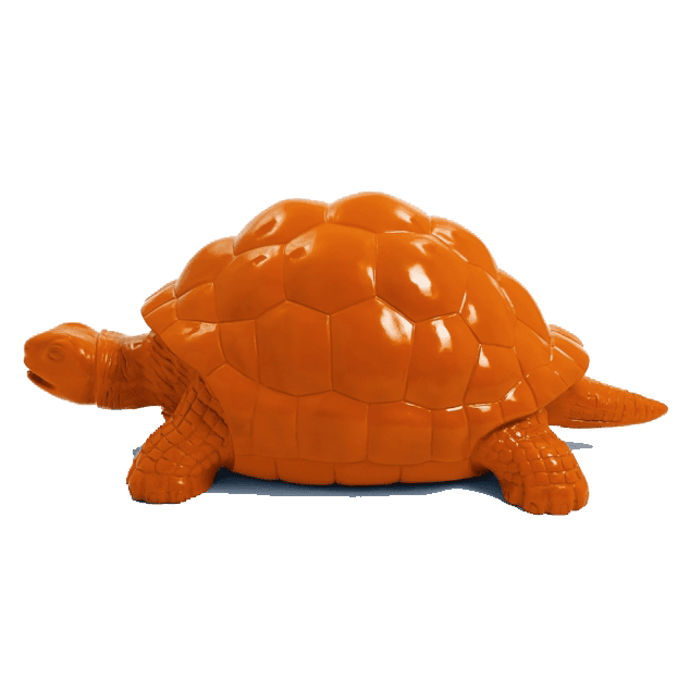 Tortue en résine (17) Tortue en resine 17 | The Luxury Box