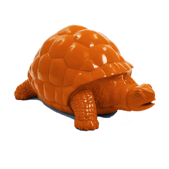 Tortue en résine (19) Tortue en resine 19 | The Luxury Box