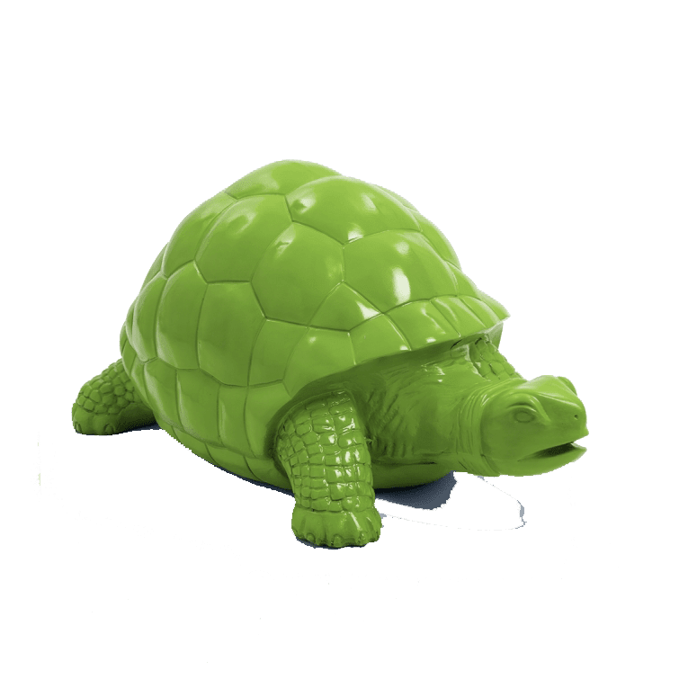 Tortue en résine (31) Tortue en resine 31 | The Luxury Box