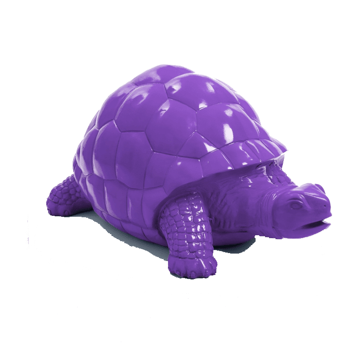 Tortue en résine (35) Tortue en resine 35 | The Luxury Box