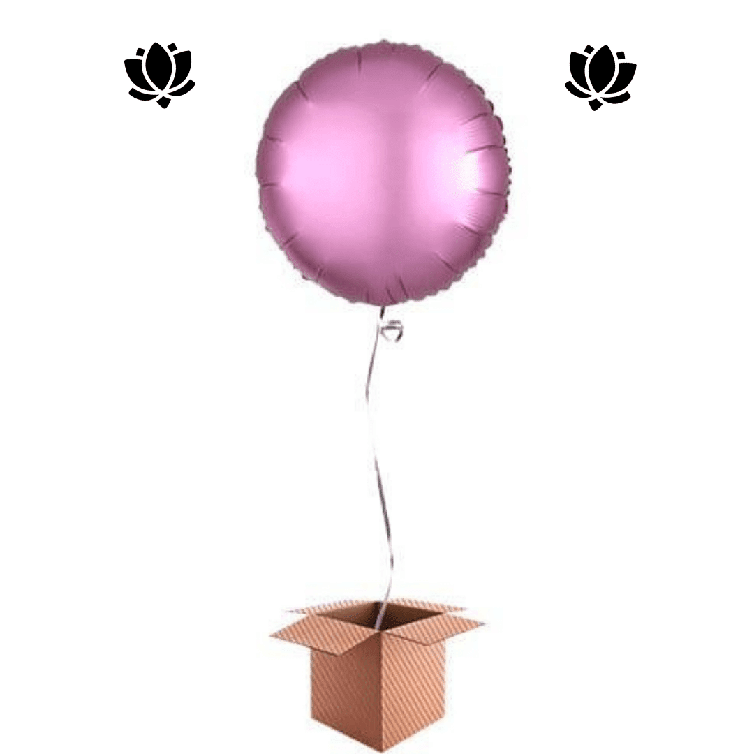1 Livraison de ballon à domicile