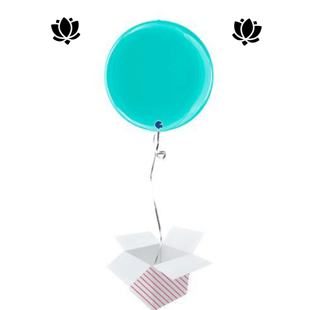 13 Livraison de ballon à domicile