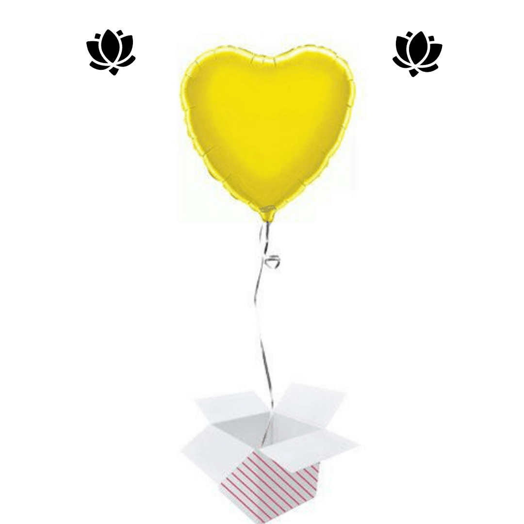 15 Livraison de ballon à domicile