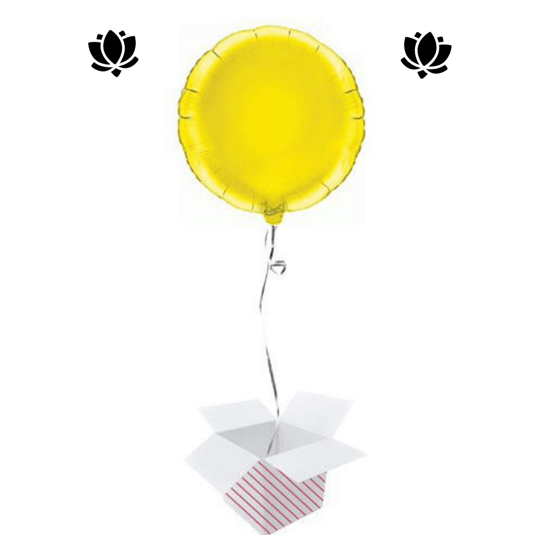 16 Livraison de ballon à domicile