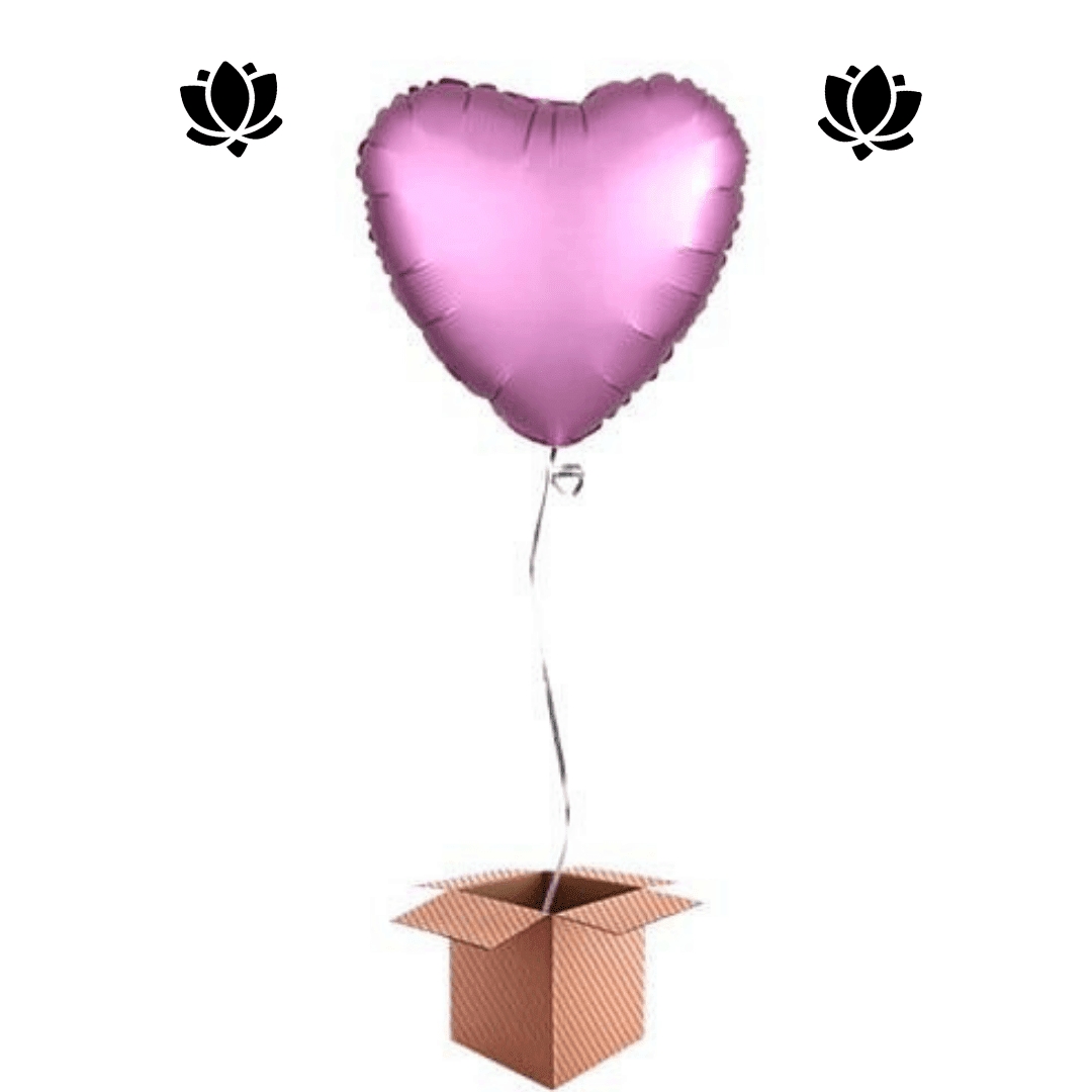 2 Livraison de ballon à domicile