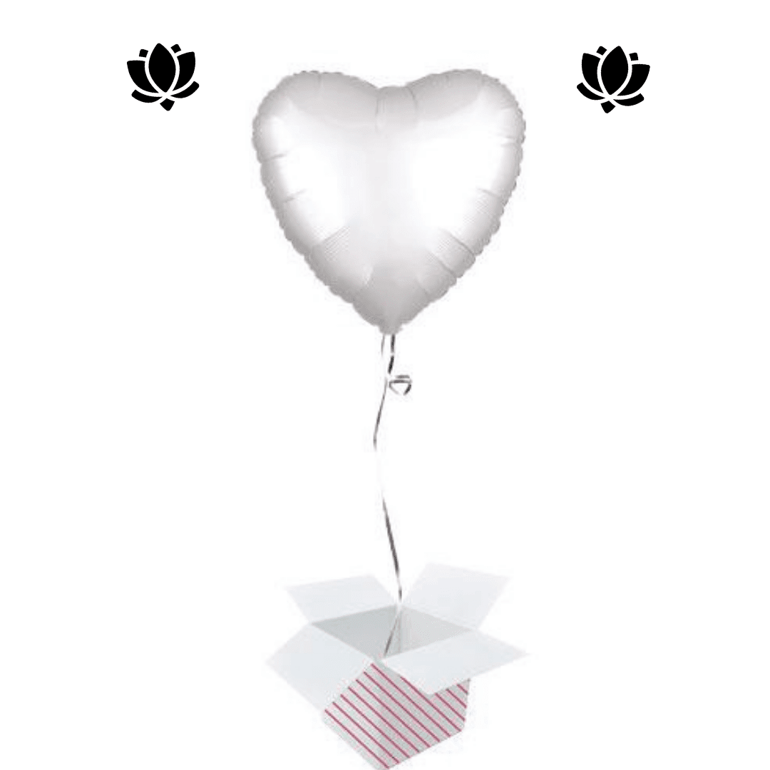 20 Livraison de ballon à domicile
