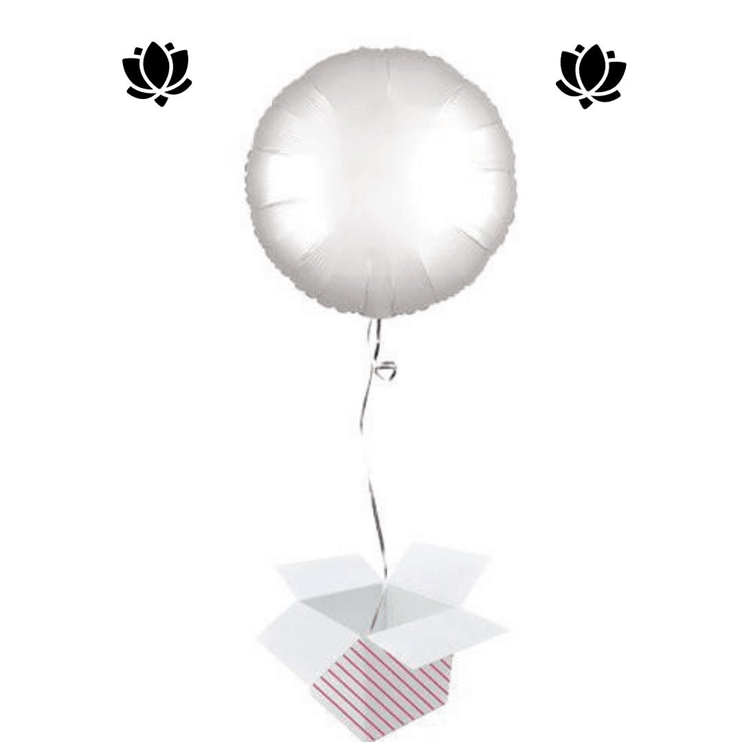 21 Livraison de ballon à domicile
