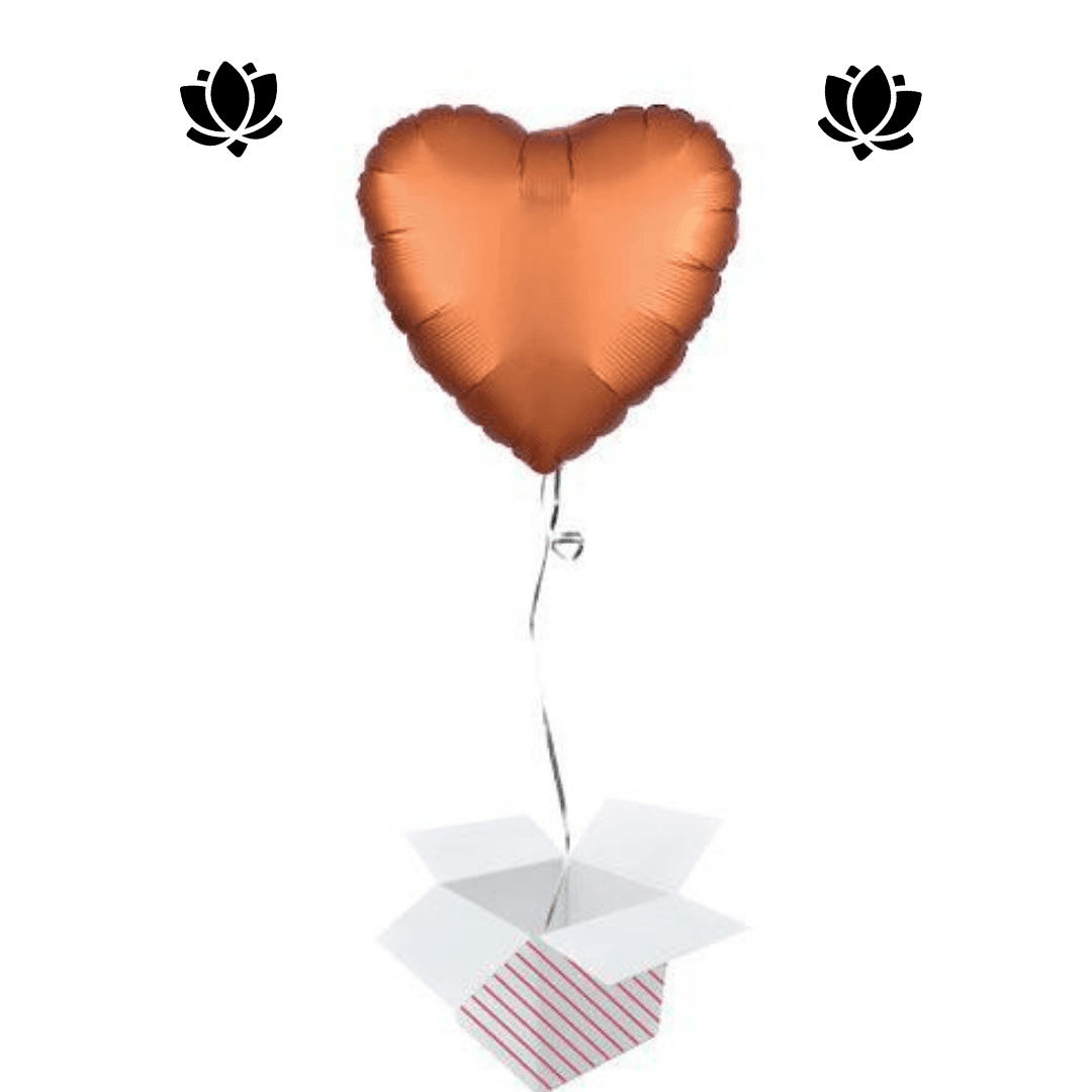 23 Livraison de ballon à domicile