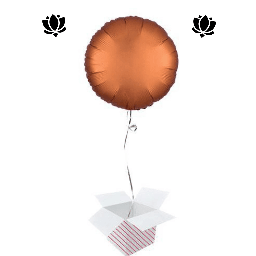 25 Livraison de ballon à domicile