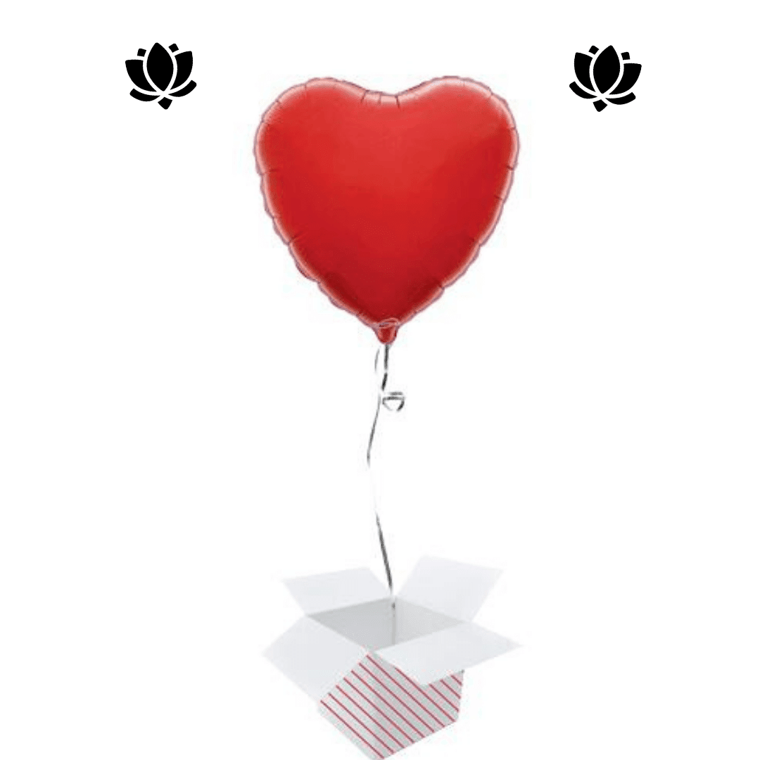 26 Livraison de ballon à domicile
