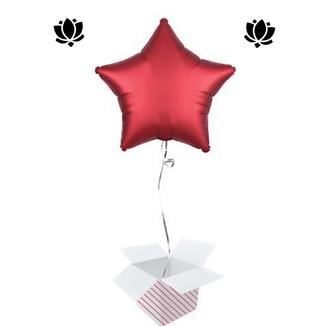 27 Livraison de ballon à domicile
