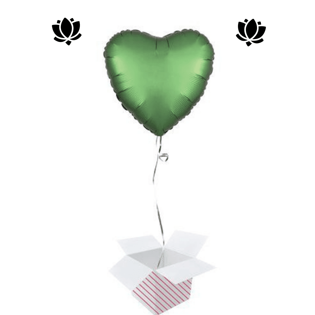 28 Livraison de ballon à domicile