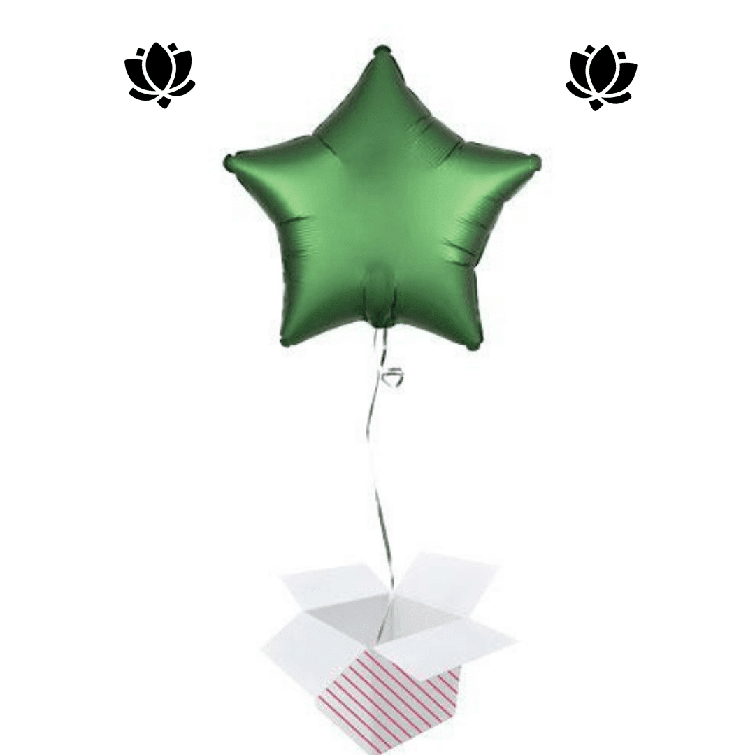 29 Livraison de ballon à domicile