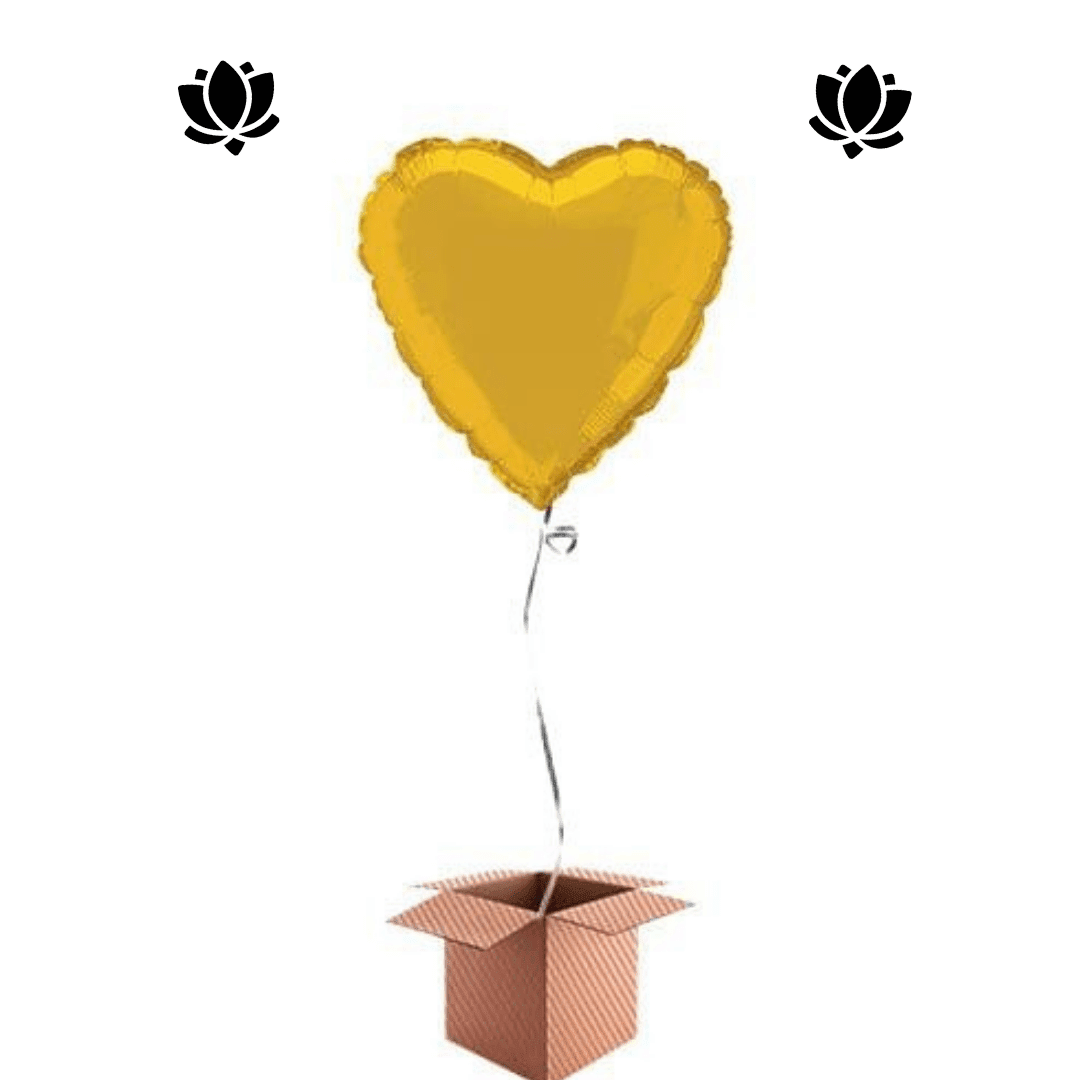 39 Livraison de ballon à domicile
