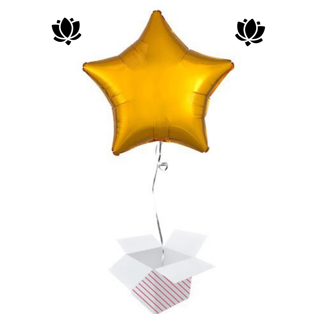 41 Livraison de ballon à domicile