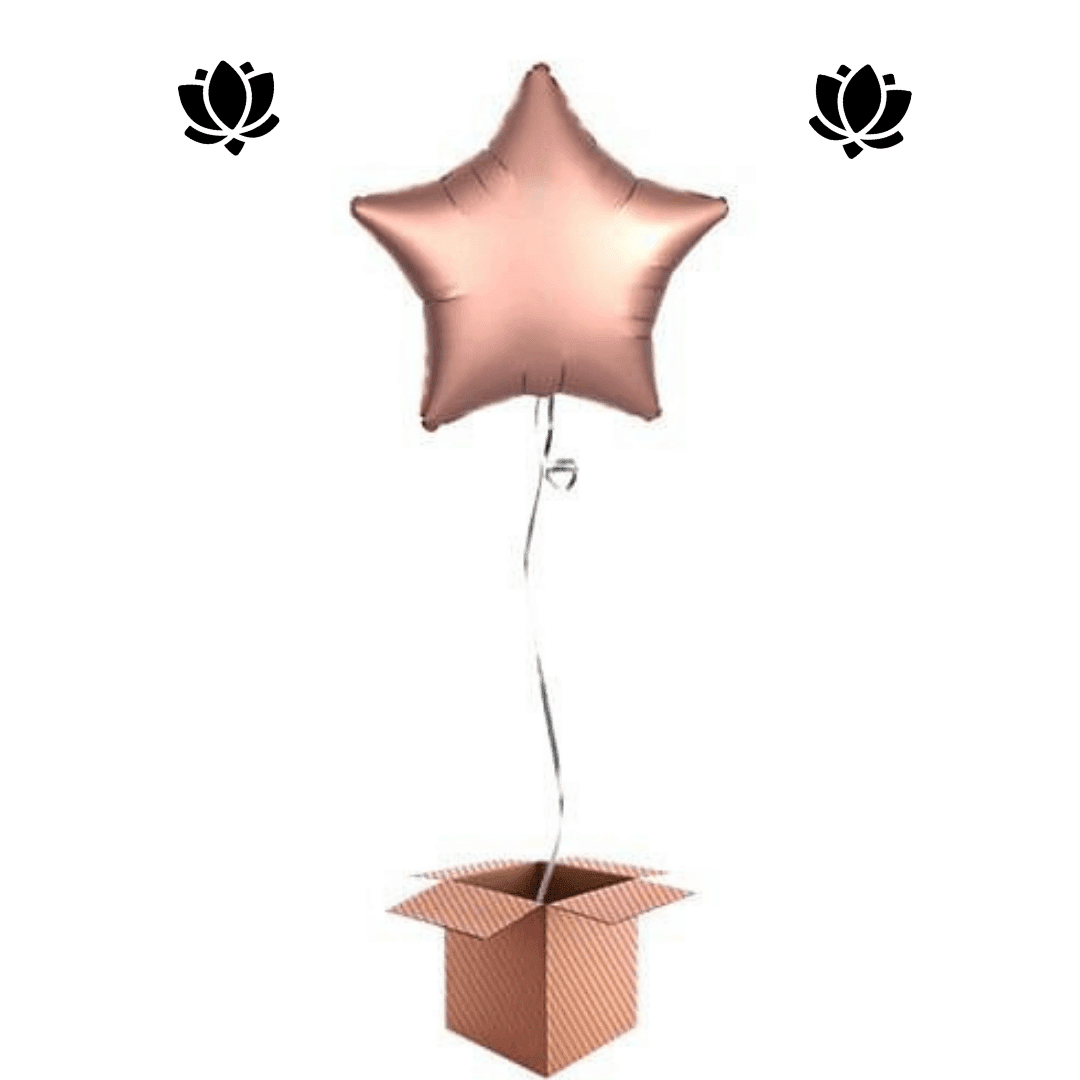 6 Livraison de ballon à domicile