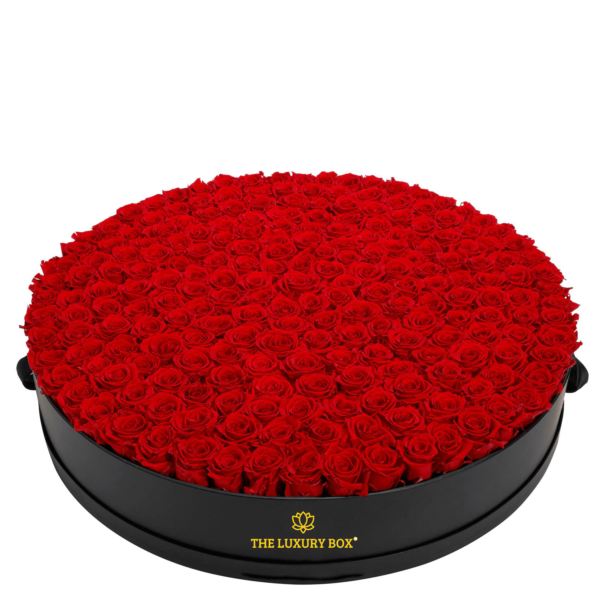 Cercle de roses géant (1) Boite de roses éternelles deluxe
