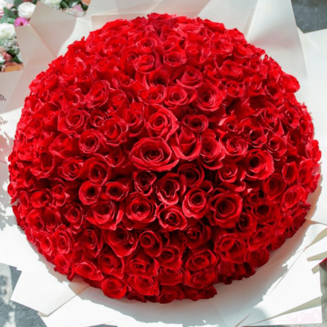Bouquet de 200 roses rouge (3) Bouquet de 200 roses rouge 3 | The Luxury Box
