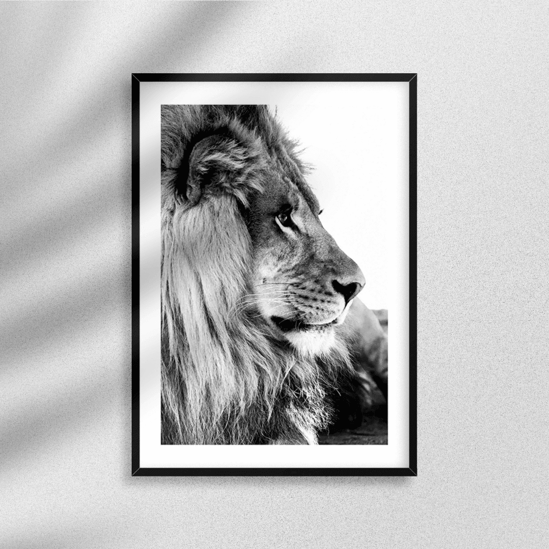 B&W Posters Box (43) BW Posters Box 43 | The Luxury Box