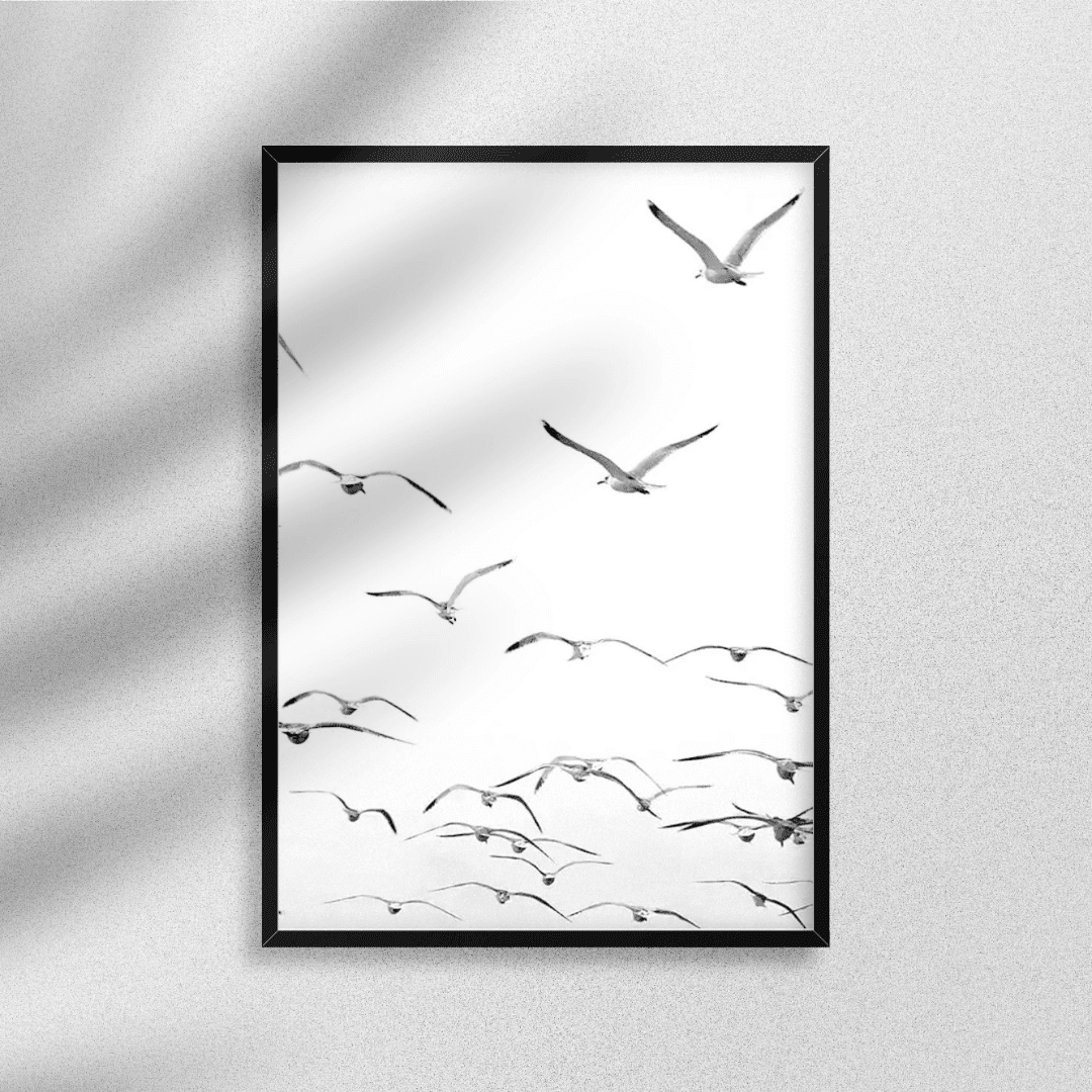 B&W Posters Box (63) BW Posters Box 63 | The Luxury Box