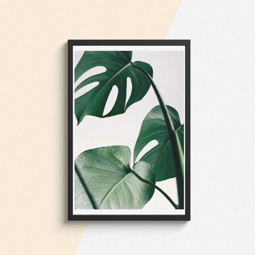 Botanique Posters Box I (30) Botanique Posters Box I 30 | The Luxury Box