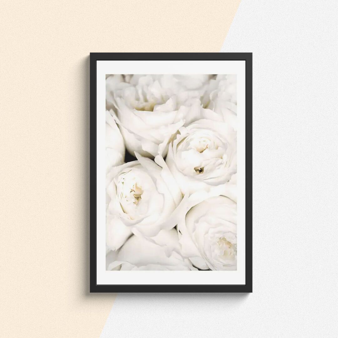 Botanique Posters Box I (4) Botanique Posters Box I 4 | The Luxury Box