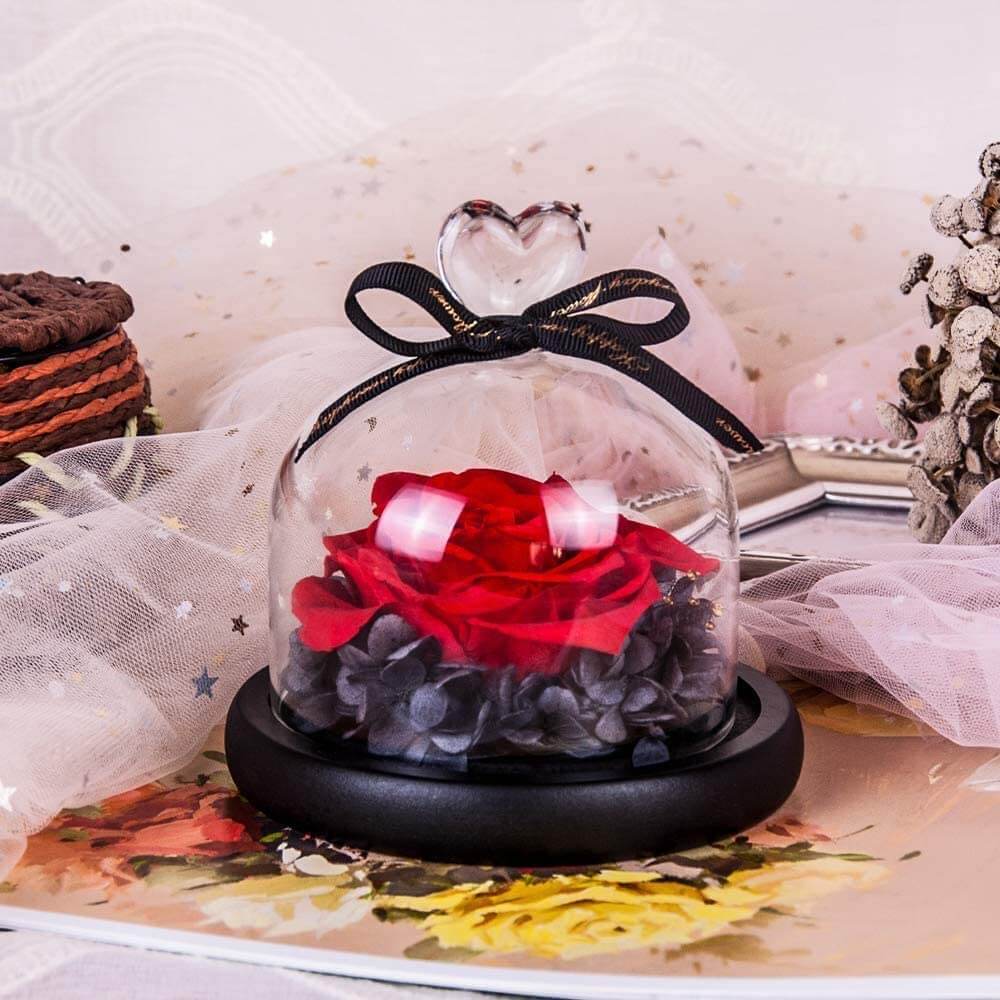 61+bbQLxduL._AC_SL1000_ Rose sous cloche