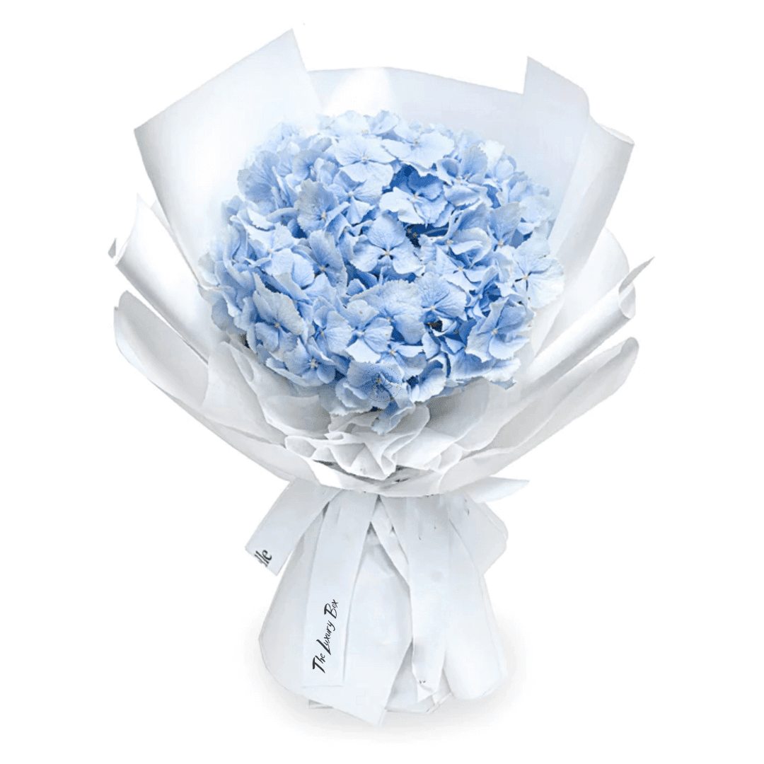 Bouquet de Hortensias Bouquet de Hortensias
