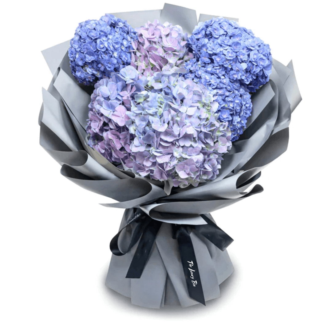 Bouquet de Hortensias Bouquet de Hortensias