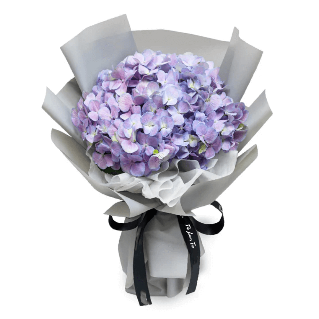 Bouquet de Hortensias Bouquet de Hortensias