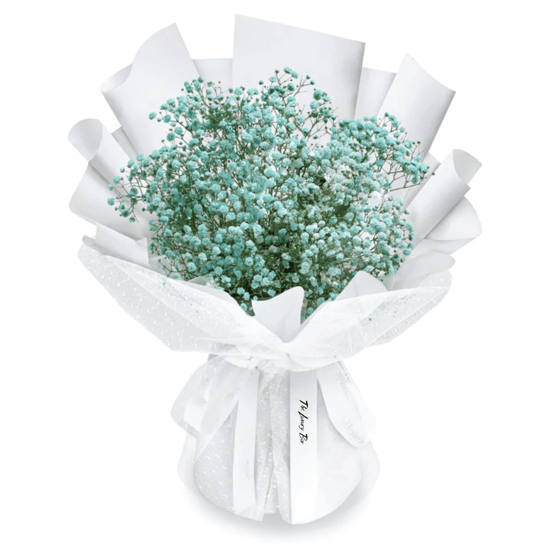 Bouquet de Gypsophiles Bouquet de Gypsophiles