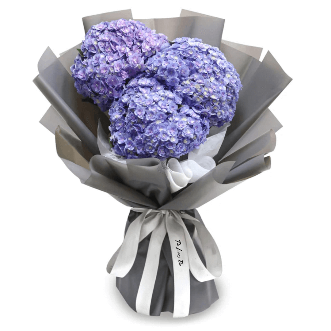 Bouquet de Hortensias Bouquet de Hortensias