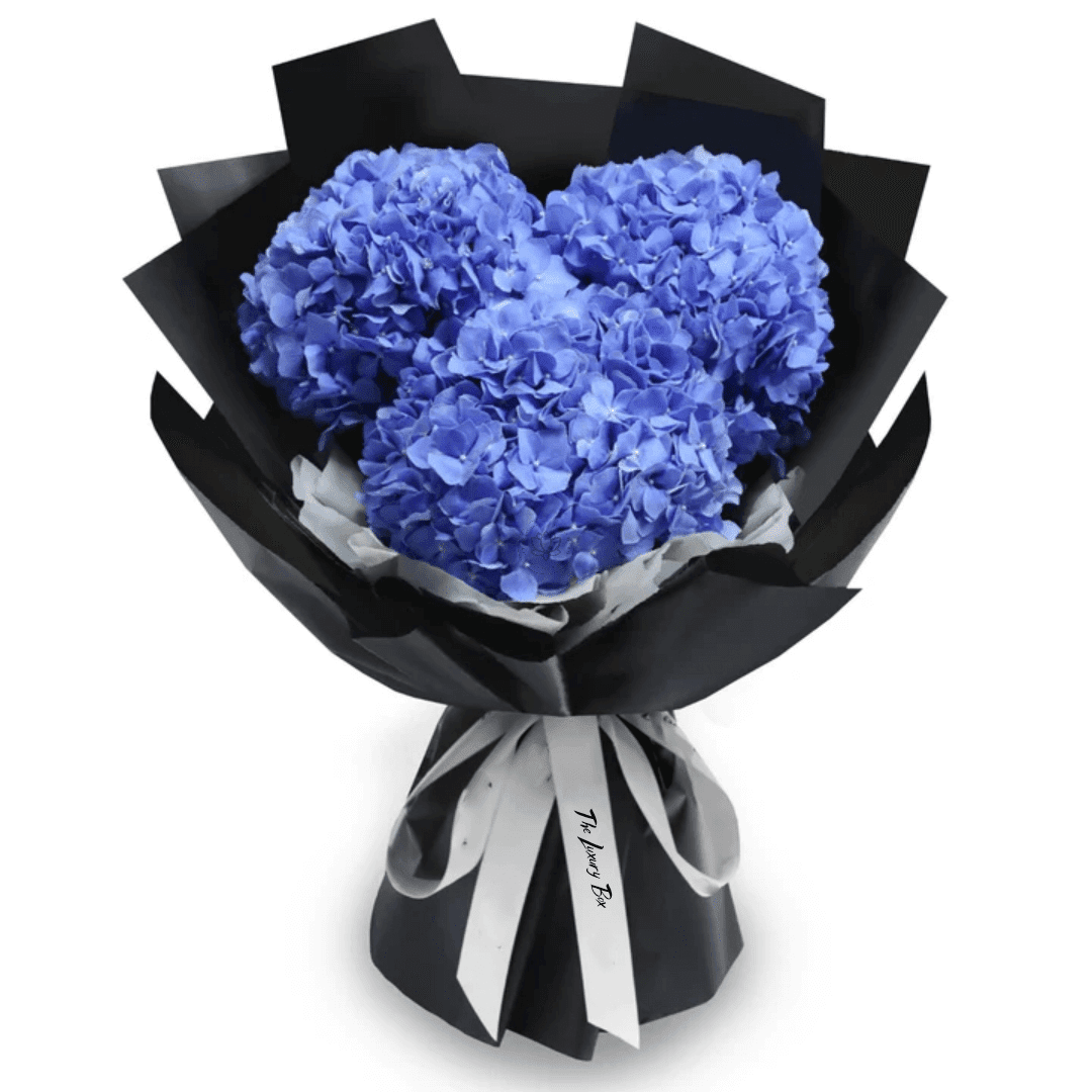 Bouquet de Hortensias Bouquet de Hortensias