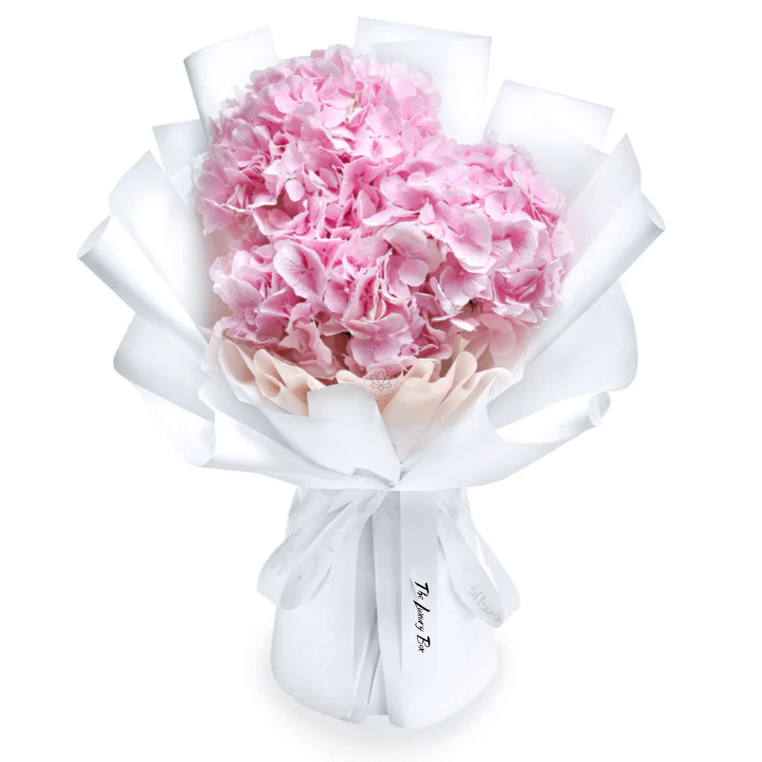 Bouquet de Hortensias Bouquet de Hortensias