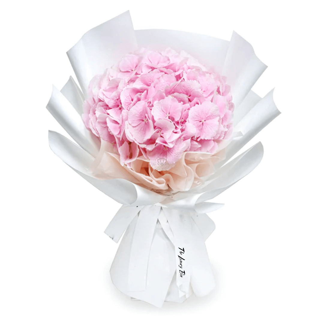 Bouquet de Hortensias Bouquet de Hortensias