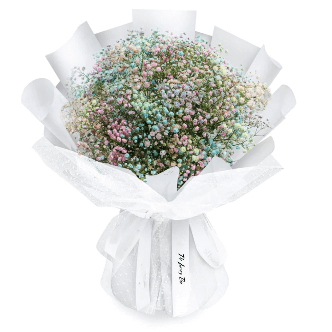 Bouquet de Gypsophiles Bouquet de Gypsophiles