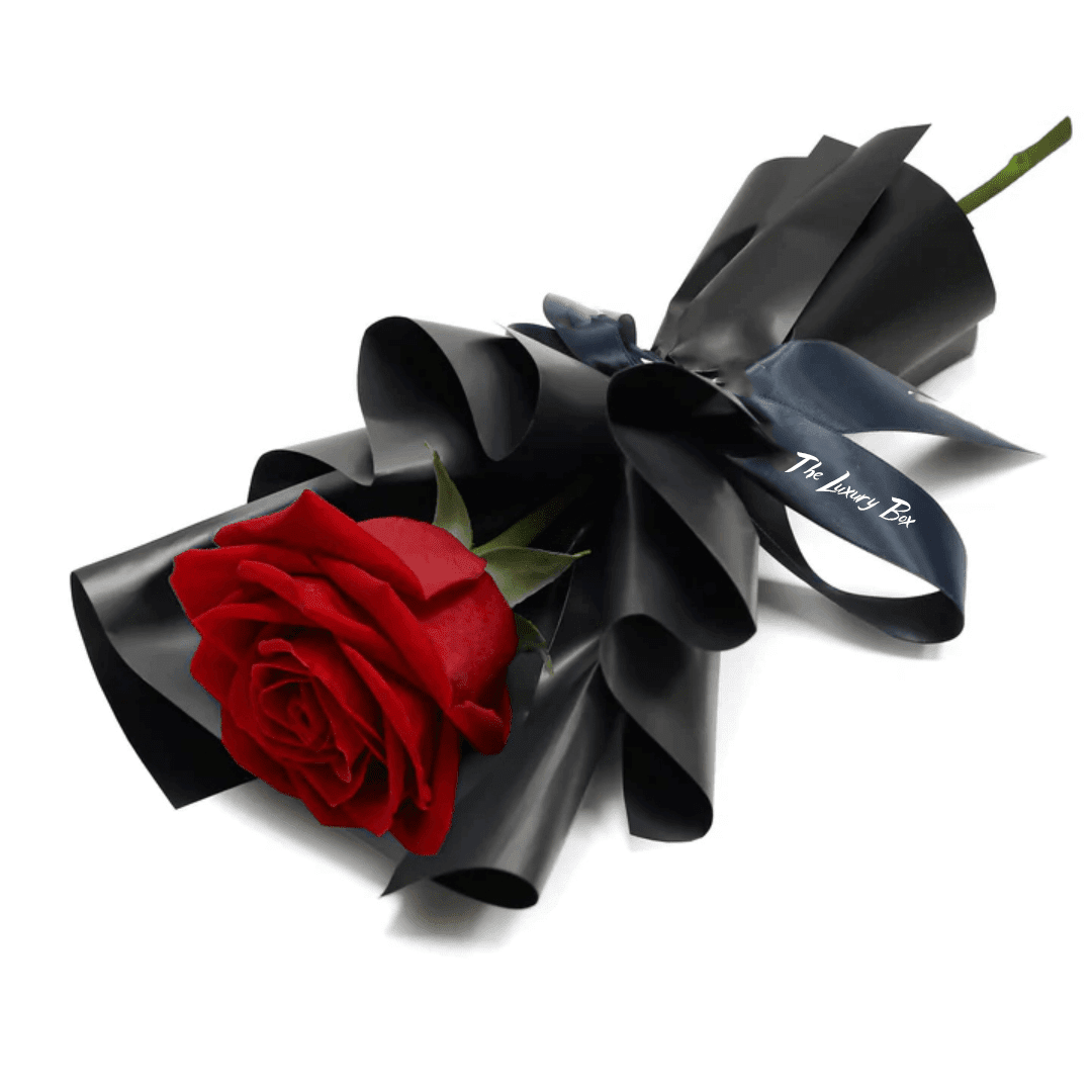 Bouquet de Rose Bouquet de Rose