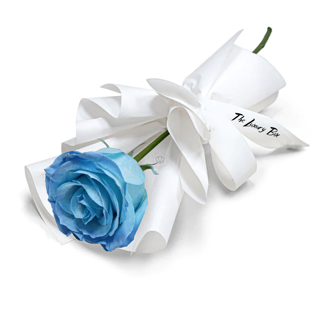 Fresh Flower Bouquet - Single Sky Blue Rose Bouquet de Rose