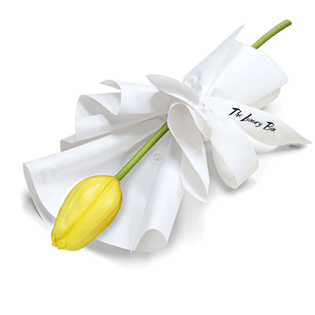 Bouquet de Tulipe Bouquet de Tulipe