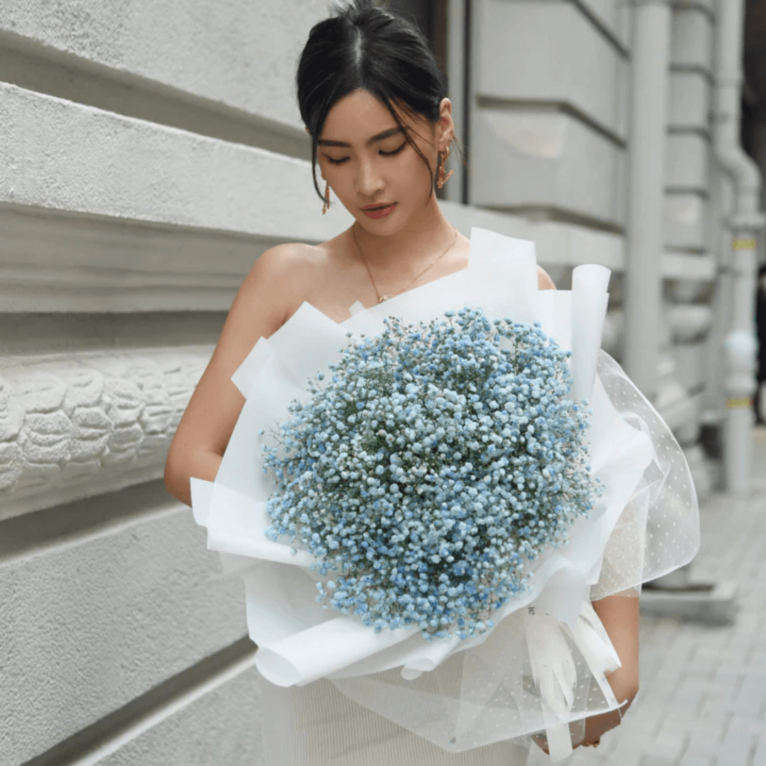 Bouquet de Gypsophiles Bouquet de Gypsophiles