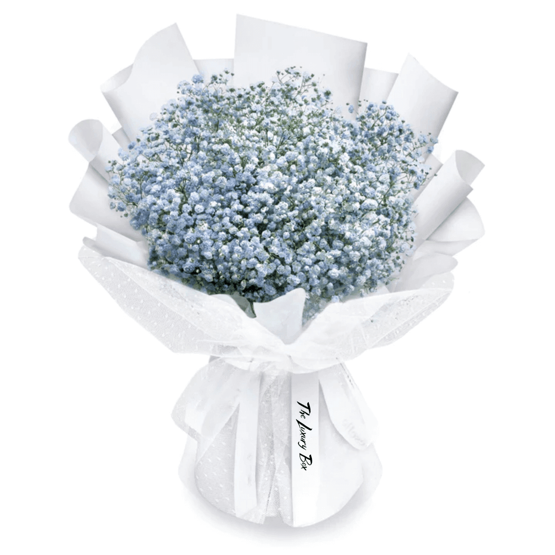 Bouquet de Gypsophiles Bouquet de Gypsophiles