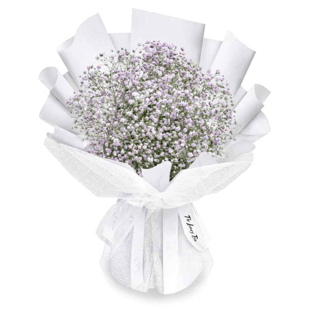 Bouquet de Gypsophiles Bouquet de Gypsophiles