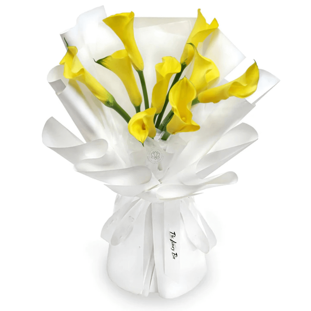 Bouquet de Tulipes Bouquet de Tulipes